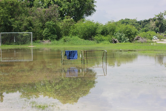 平作出了重 平作出了重