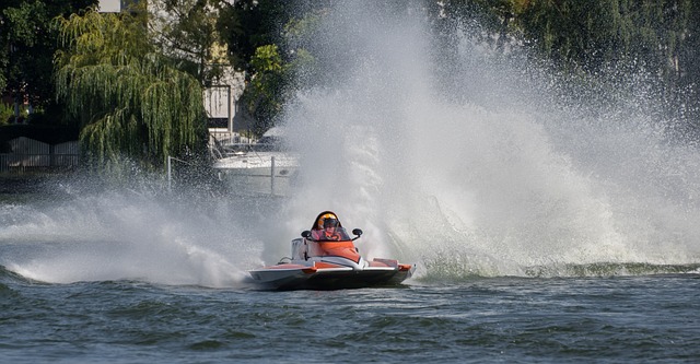 往往拥有的 往往拥有的