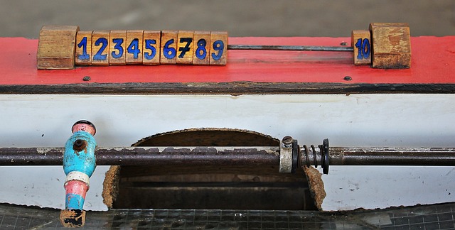 的極力展現 的極力展現