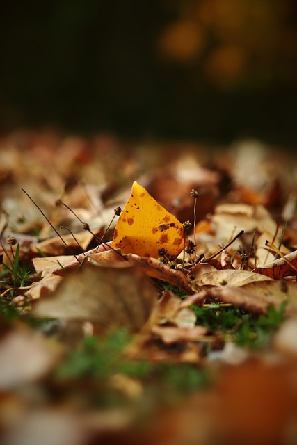 通过控制台 通过控制台
