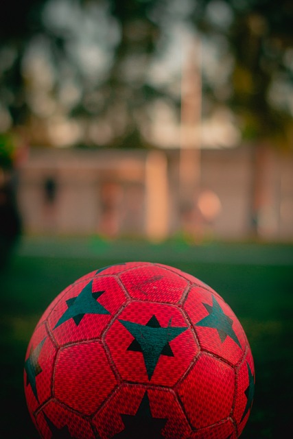 的比赛中绽 的比赛中绽